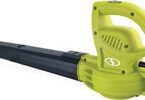 Best Electric Leaf Blowers