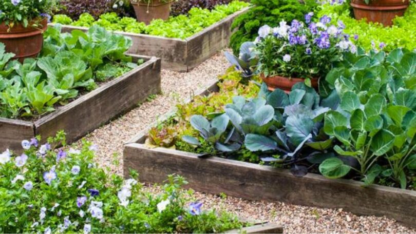 How to Build Raised Beds for Your Garden